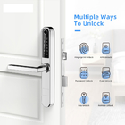 Kunci Pintu Aluminium Pintu Geser Ayun Cerdas Ultrathin Bluetooth Kunci Mekanik Sidik Jari
