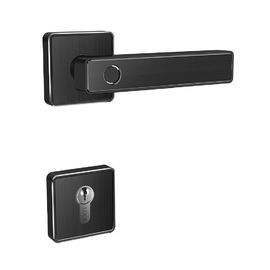 Wifi Bluetooth Fingerprint Handle Kunci Pintu Alarm Digital Cylinder Smart Door