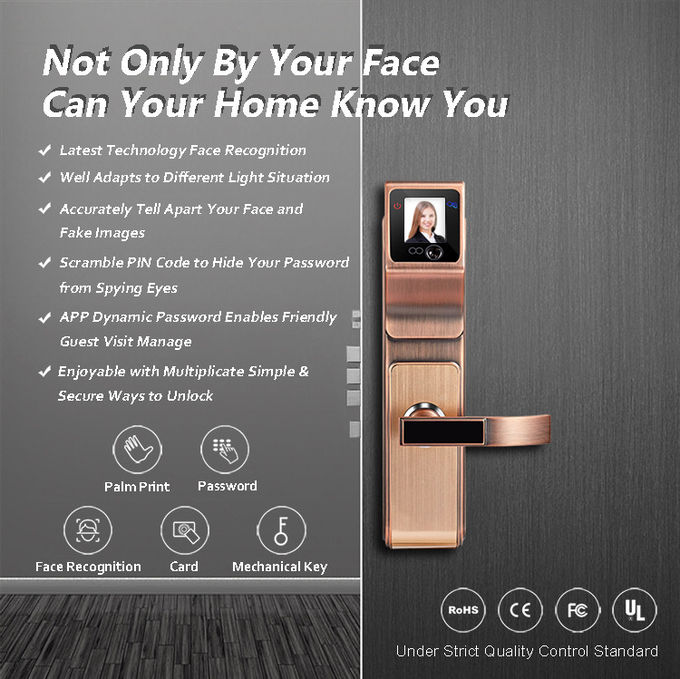 Smart 3D Infrared Face Recognition Door Handle Lock Untuk Keluarga dan Perusahaan 0