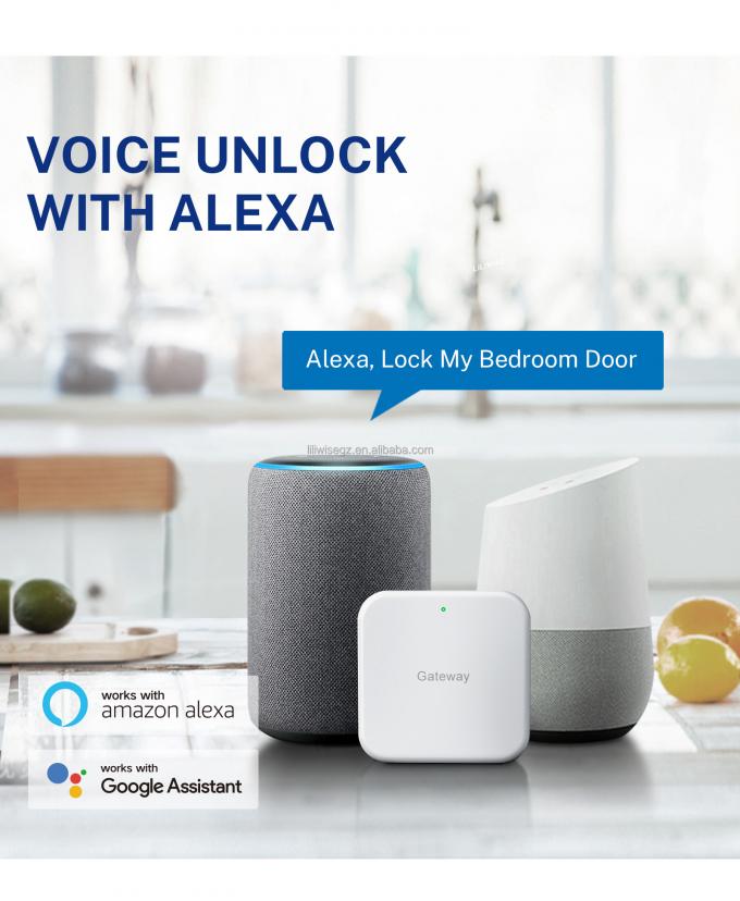 Tuya WiFi BLE Smart Door Lock dengan sidik jari dan keyboard 4