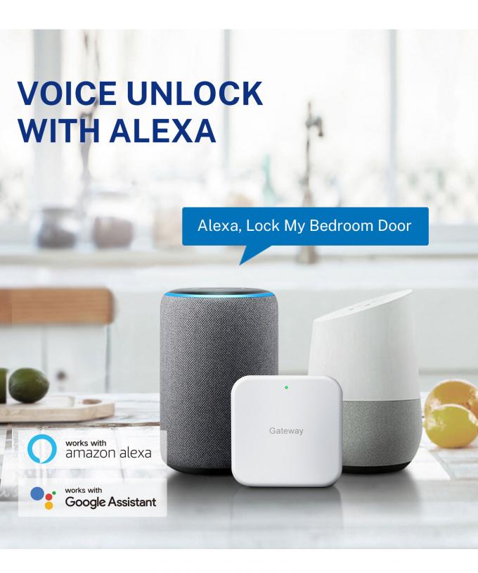 Liliwise Security Digital Doorbell Tuya Wifi Smart Fingerprint Lock Face Recognition Kamera Pintu Kunci Kontrol De Accesos 24