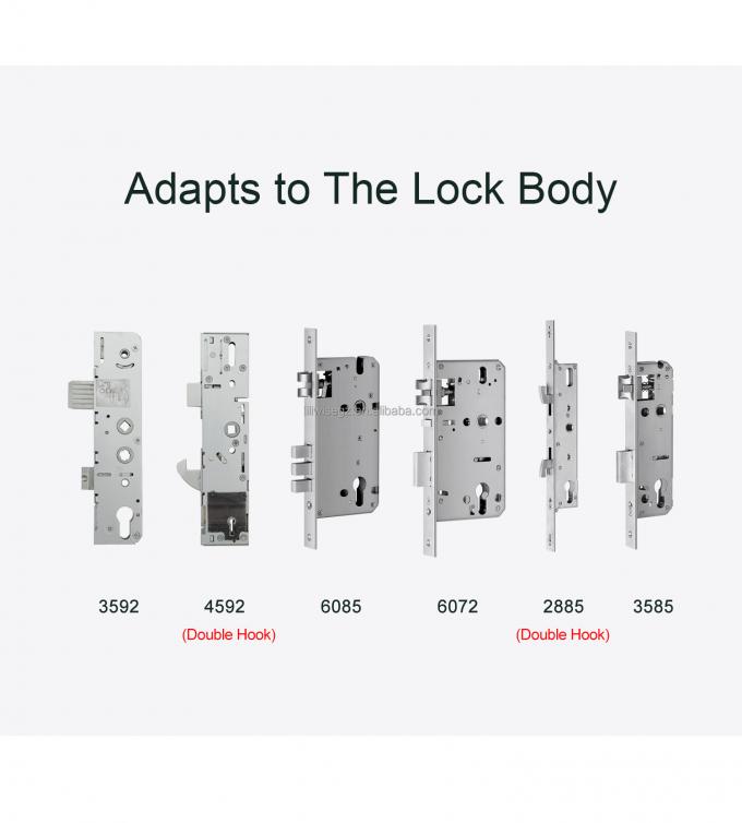 LILIWISE High Quality Manufacturer Smart Lock 2025 Tuya Wifi BLE Waterproof TTLOCK Slim Smart Door Lock 5