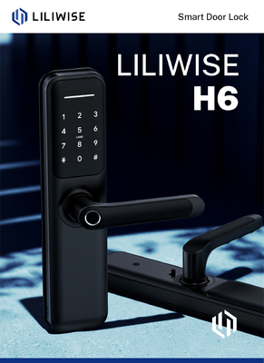 Liliwise Cerradura Inteligente Grosir Kunci Pintu Digital Bluetooth