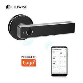 Tuya WiFi App Bluetooth Kunci Pintu Biometric Fingerprint Door Handle Digital Keyless Kunci Pintu Cerdas