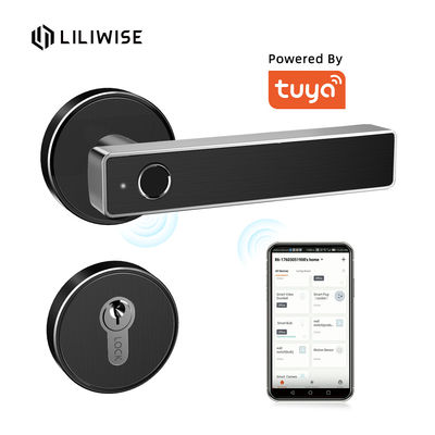 Kunci Pintu Sidik Jari Wifi Kunci Cerdas Tuya TTlock APP Remote Control