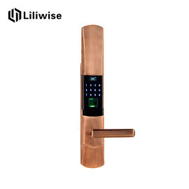 Zinc Alloy Digital Keyless Entry Door Locks, SJ6061 Electronic Security Locks