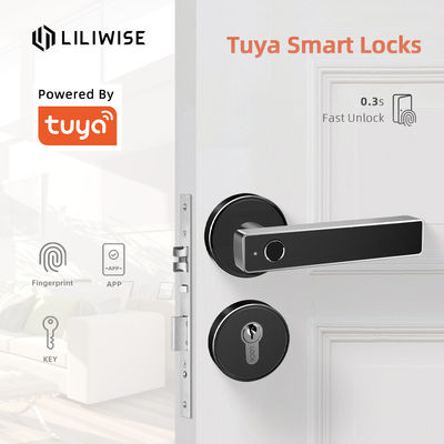 Kunci Pintu Sidik Jari Wifi Kunci Cerdas Tuya TTlock APP Remote Control