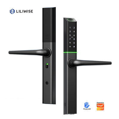Liliwise Custom Waterproof Aluminium Elektronik Kunci Luar Tuya Ttlock Matter Kunci Pintu Pintu Pintu Pintu Smart Keyless Slim