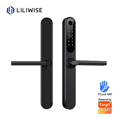 Liliwise Waterproof Alexa Aluminium Steel Ip66 Smart Door Lock Sidik jari Cerradura Electronica Ttlock Smart Lock Dengan Wifi